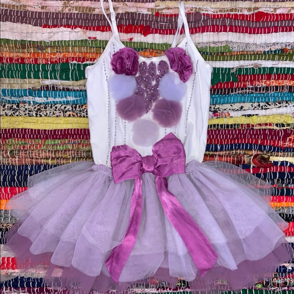 Tutu Du Monde Purple Ombré Tutu Dress